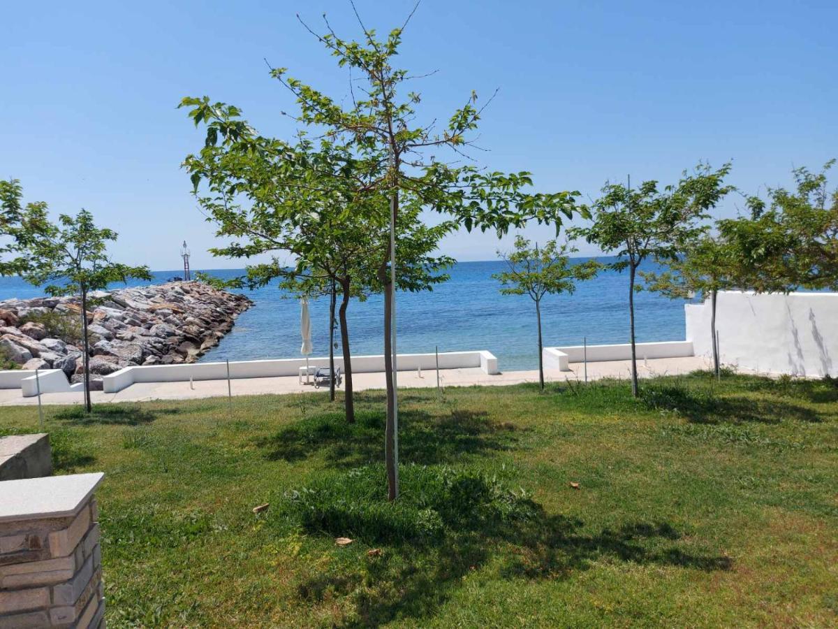 Pansion Alexandros By The Sea Lejlighedshotel Nea Skioni Eksteriør billede